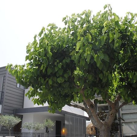 Agnanti Apartments Argaka Dış mekan fotoğraf